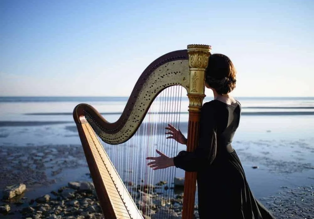 What Is A Harp?