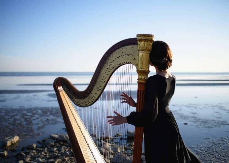 What Is A Harp?