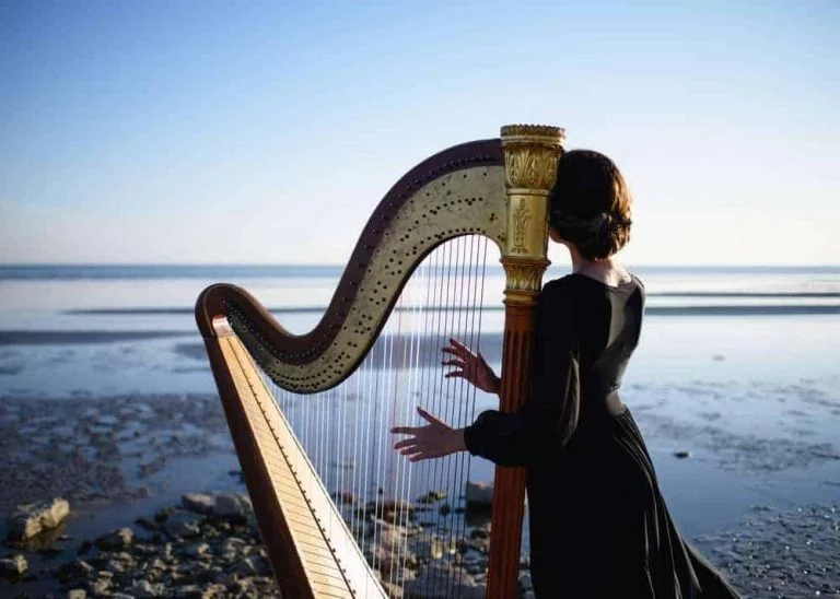 What Is A Harp? 5 What Is A Harp?