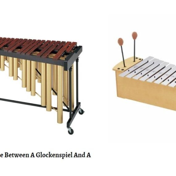 What Is The Difference Between A Celesta And A Keyboard Glockenspiel? What Is The Difference Between A Celesta And A Keyboard Glockenspiel?