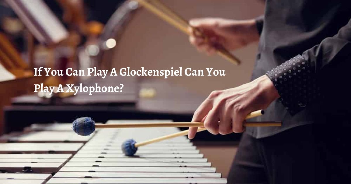 If You Can Play A Glockenspiel Can You Play A Xylophone