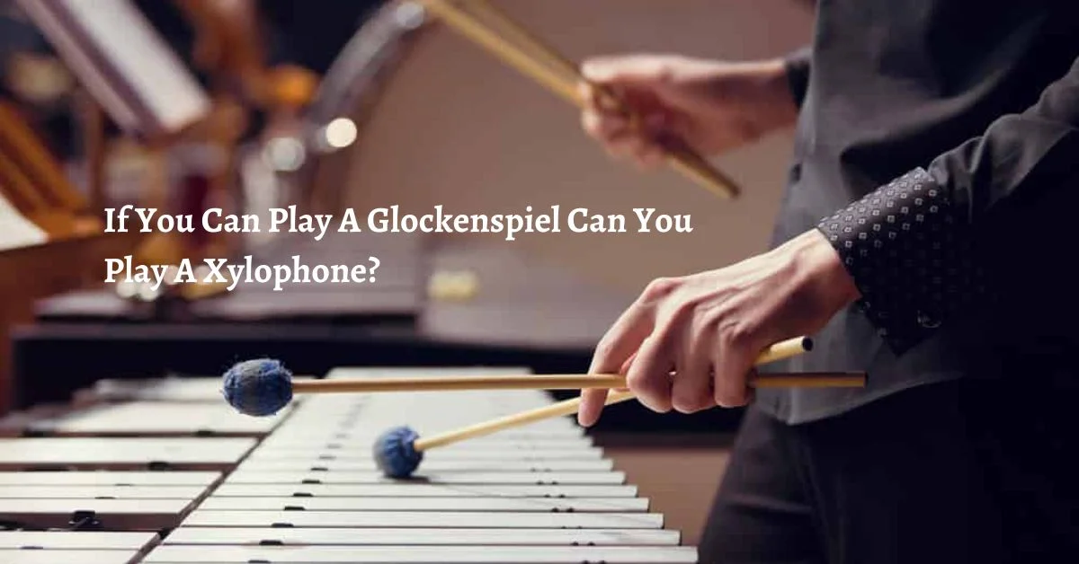 If You Can Play A Glockenspiel Can You Play A Xylophone