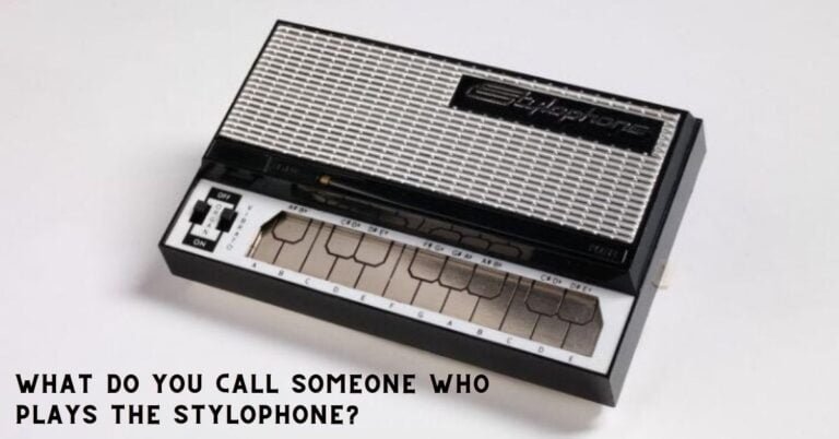 What Do You Call Someone Who Plays The Stylophone