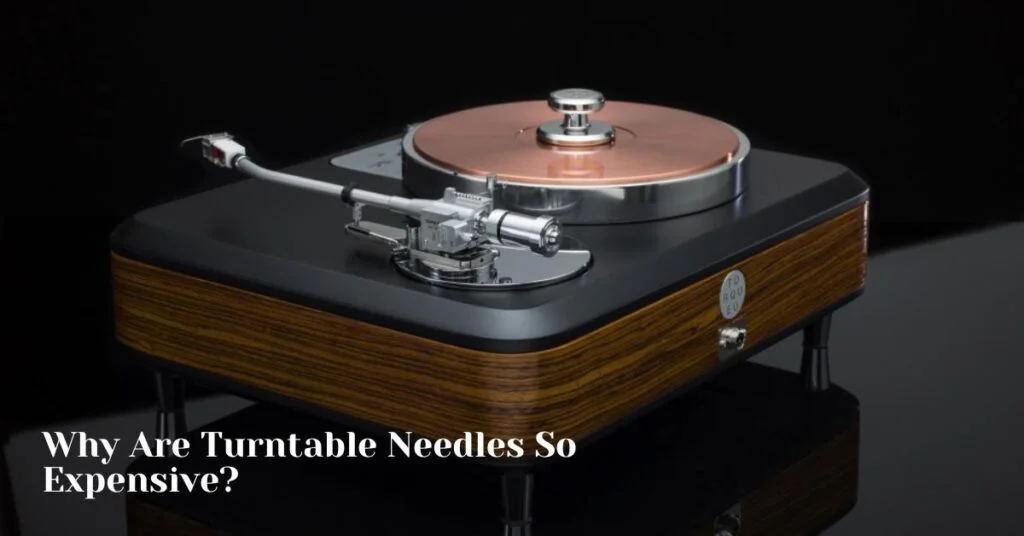 Why Are Turntable Needles So Expensive