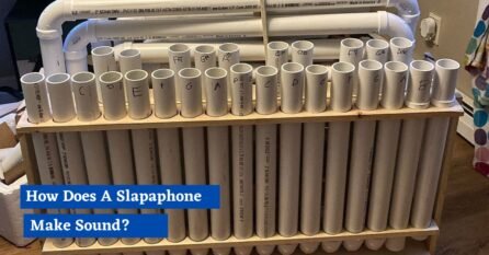 Slapper Phone Instrument How Does A Slapaphone Make Sound? Creative Musical Instrument