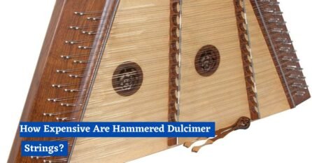 How Expensive Are Hammered Dulcimer Strings