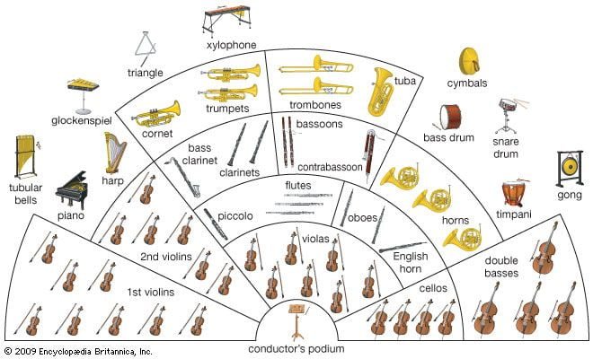 Where Does the Xylophone Sit in the Orchestra